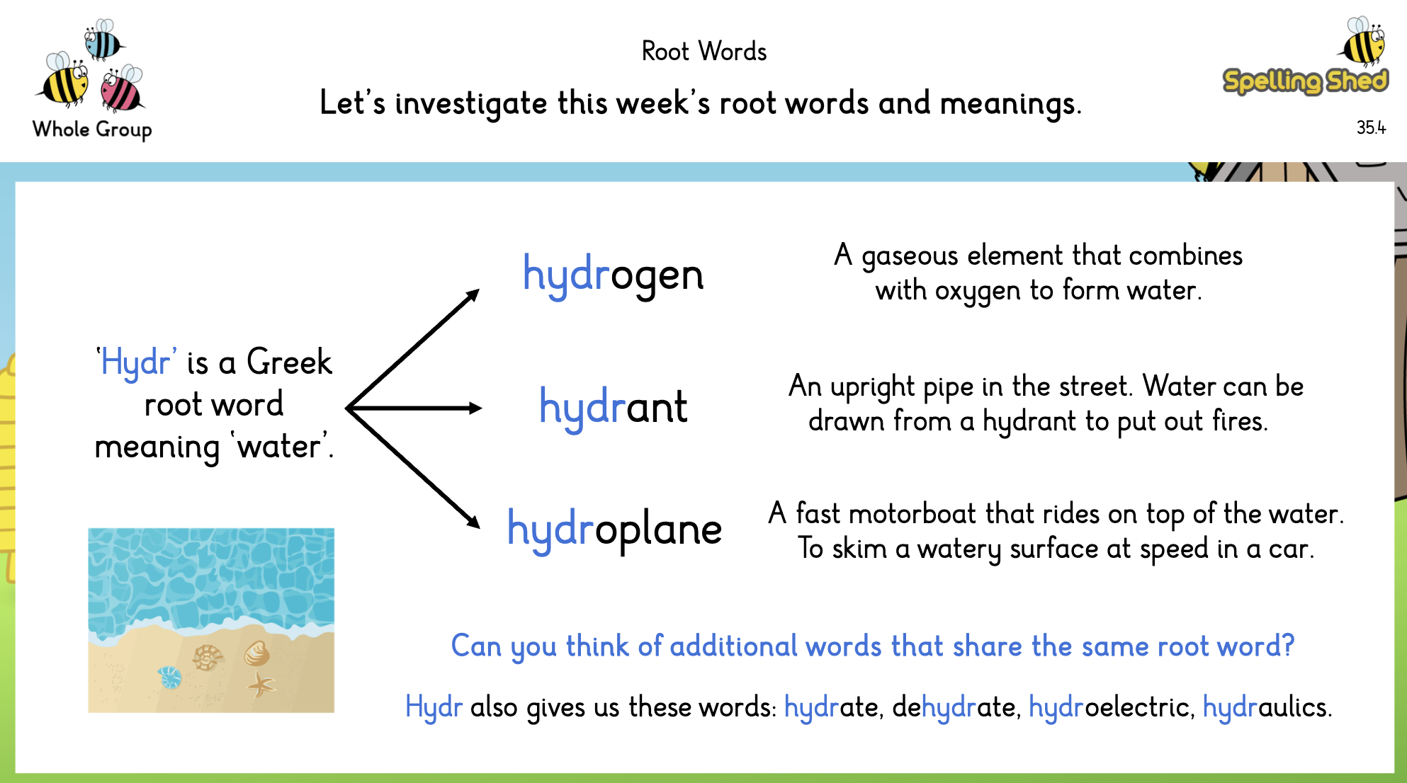 root words diagram