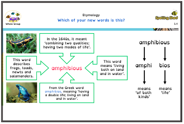 etymology 1