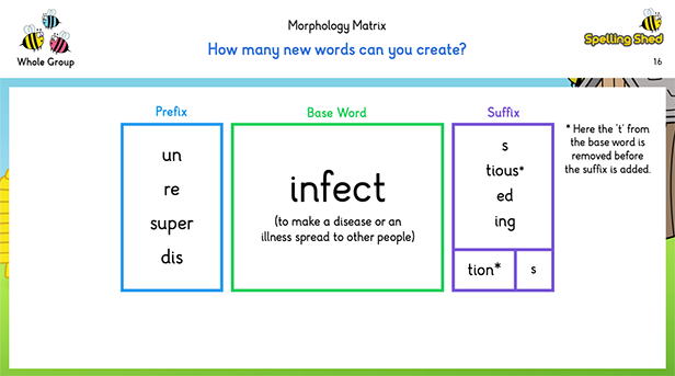 Morphology Matrix