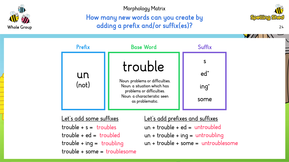 EdShed Morphology teaching slide